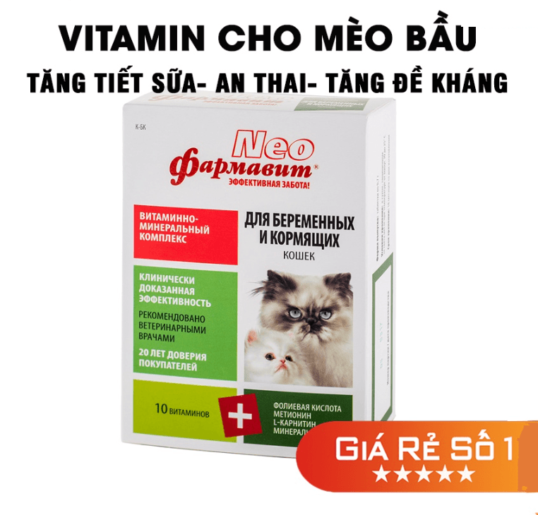 Thời gian sử dụng vitamin cho mèo bầu kéo dài trong bao lâu?
