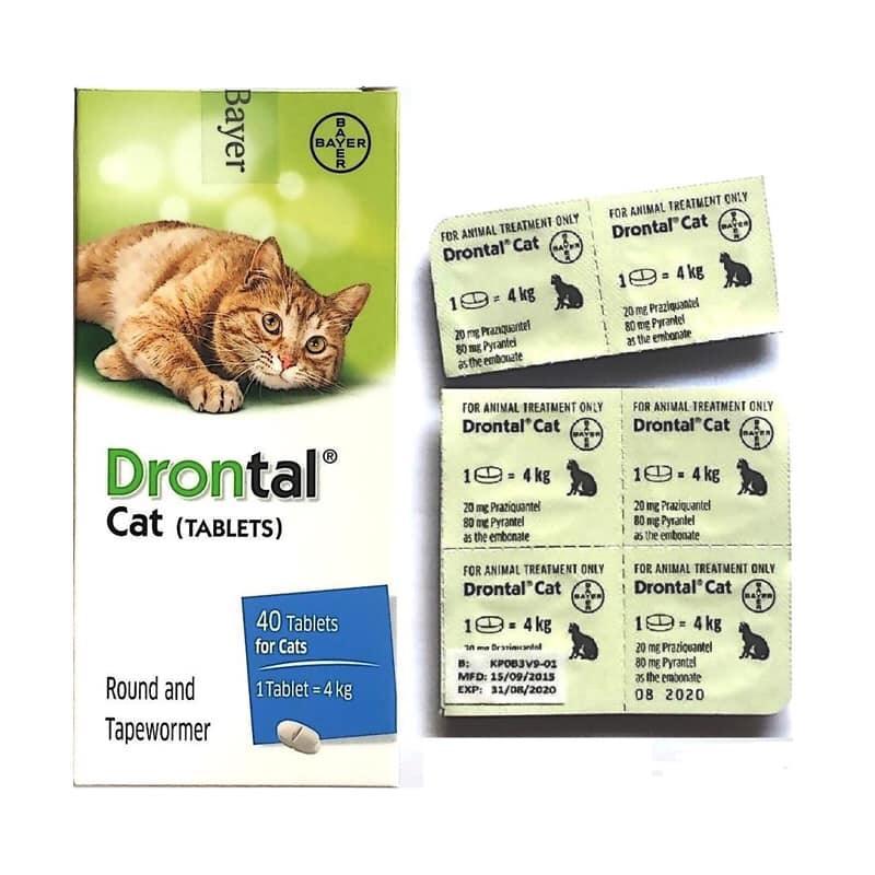 Có cần tiến hành điều trị xổ giun thường xuyên cho mèo bằng Drontal hay không?
