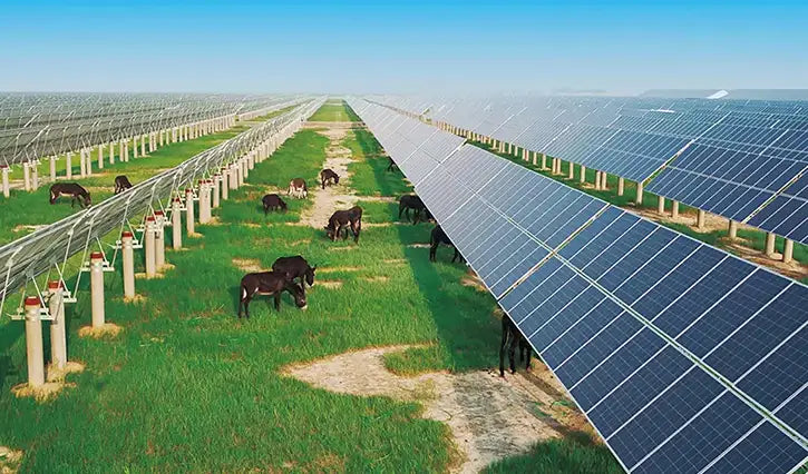 Agricultural Farm Solar System