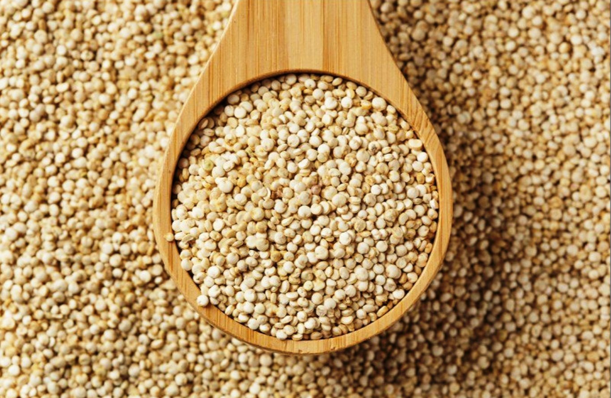 Quinoa Seeds