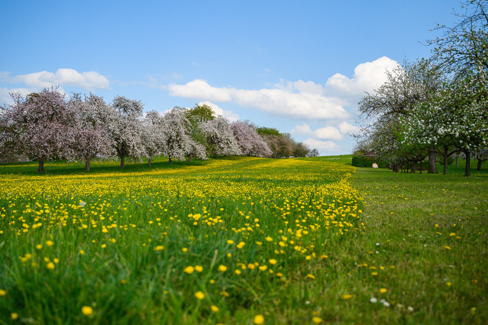 The Luckiest First Names This Spring 10 Names and the Perfect Gifts for Them