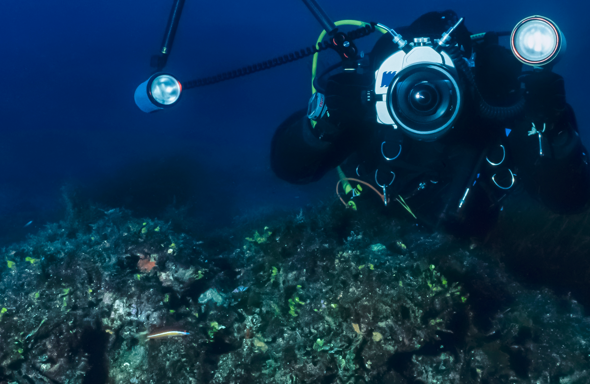 Underwater camera present