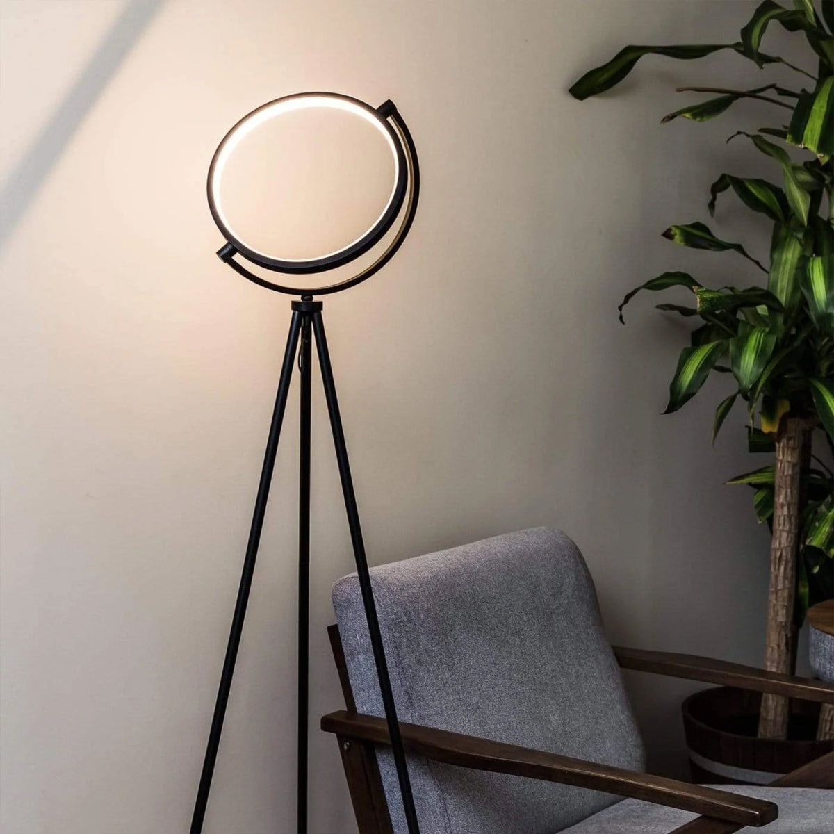 Halolux Floor Lamp Best Floor Lamp For Reading