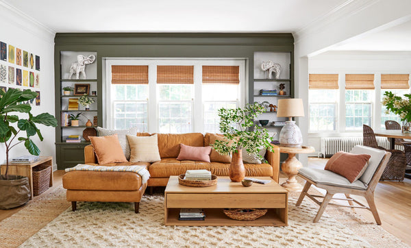 Brown Living Room Ideas