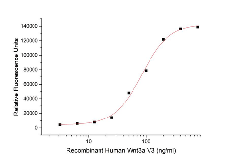 BL-2913NP Bio Activity: Measured by its ability to induce Topflash reporter activity in HEK293T human embryonic kidney cells.  The ED50 for this effect is 71.45 ng/ml.