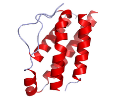 Crystal structure of IL-2 as published in the Protein Data Bank (PDB: 1M47)