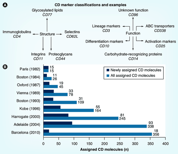 Fig.1 Numbers and types of cluster of differentiation markers. [1]