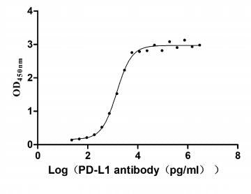 Measured by its binding ability in a functional ELISA. Immobilized PD-L1 at 2 μg/ml can bind Anti- PD-L1 mouse monoclonal antibody (antigen from E.coli), the EC50 of human PD-L1 protein is 1.252-1.653 ng/mL.
