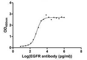 BLC-05590P - Activity measured by its binding ability in a functional ELISA. Immobilized EGFR at 1 μg/ml can bind human EGFR antibody, the EC50 of human EGFR protein is 2.867-3.571 ng/ml.