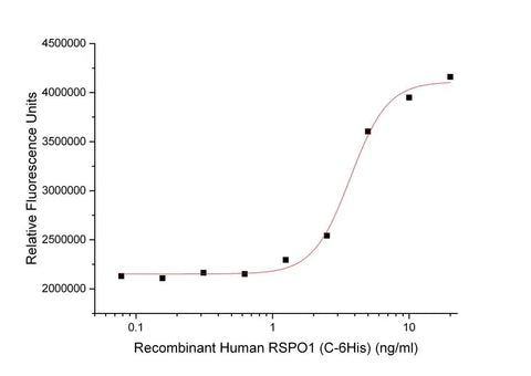 Recombinant Human RSPO1 (C-6His): measured by its ability to induce Topflash reporter activity in HEK293T human embryonic kidney cells. The ED50 for this effect is 4.06 ng/ml.