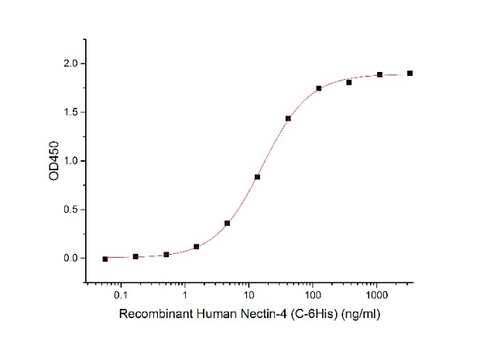 Immobilized Anti-Human Nectin-4 mAb-mFc at 2μg/ml (100 μl/well) can bind Human Nectin-4-His (Cat#BL-2502NP).The ED50 of Human Nectin-4-His (Cat#BL-2502NP) is 16.29 ng/ml. (Regularly tested)