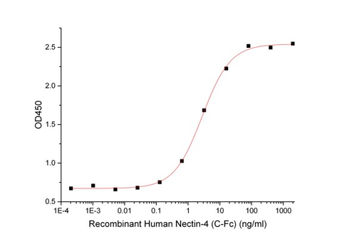 Immobilized Anti-Human Nectin-4 mAb-mFc at 2μg/ml (100 μl/well) can bind Human Nectin-4-Fc (Cat#BL-2527NP). The ED50 of Human Nectin-4-Fc (Cat#BL-2527NP) is 2.79 ng/ml.  (Regularly tested)