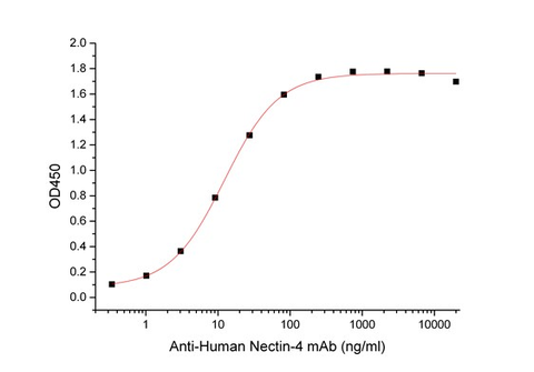 Immobilized Human Nectin-4-His-Avi(Cat#BL-0291NP) at 2μg/ml (100 μl/well) can bind Anti-Human Nectin-4 mAb-mFc. The ED50 of Anti-Human Nectin-4 mAb-mFc is 12.28 ng/ml. (Regularly tested)