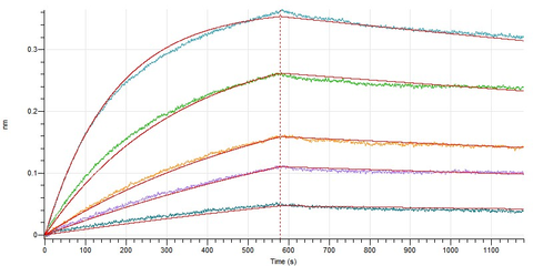 Loaded Anti-Human Nectin-4 mAb-mFc on AMQ Biosensor, can bind Human Nectin-4-Fc(Cat#BL-2527NP) with an affinity constant of 0.86 nM as determined in BLI assay.  (Regularly tested)