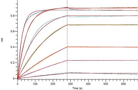 Loaded Anti-Human TSLP mAb-Fc on Protein A Biosensor, can bind Human TSLP-His (R127A, R130A) (Cat#BL-2518NP) with an affinity constant of <10-3 nM as determined in BLI assay.