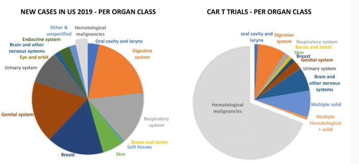 Estimated proportion of new cancer cases in the USA in 2019 (left) and CAR-T clinical trials per organ class (right)