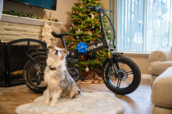 Budget-Friendly Ebike Christmas Deals