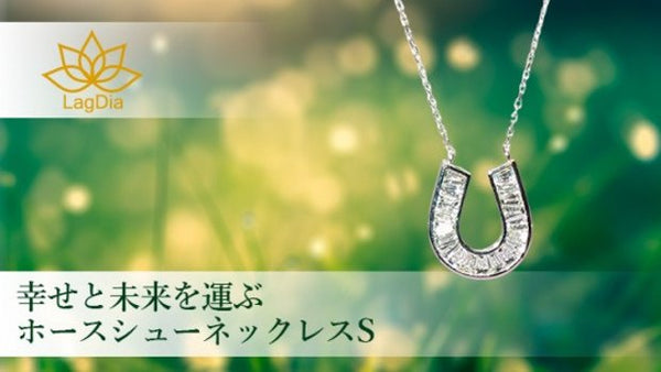 ホースシューラボグロウンダイヤモンドネックレス S １８K – Makuake STORE