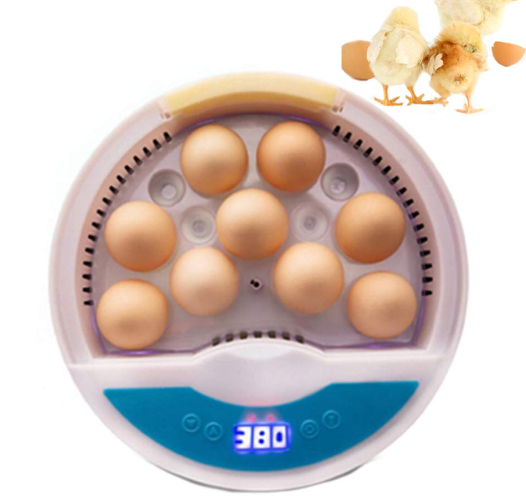 Incubateur entièrement automatique 9 œufs avec affichage LED de la température et régulation de l'humidité pour œufs de volaille