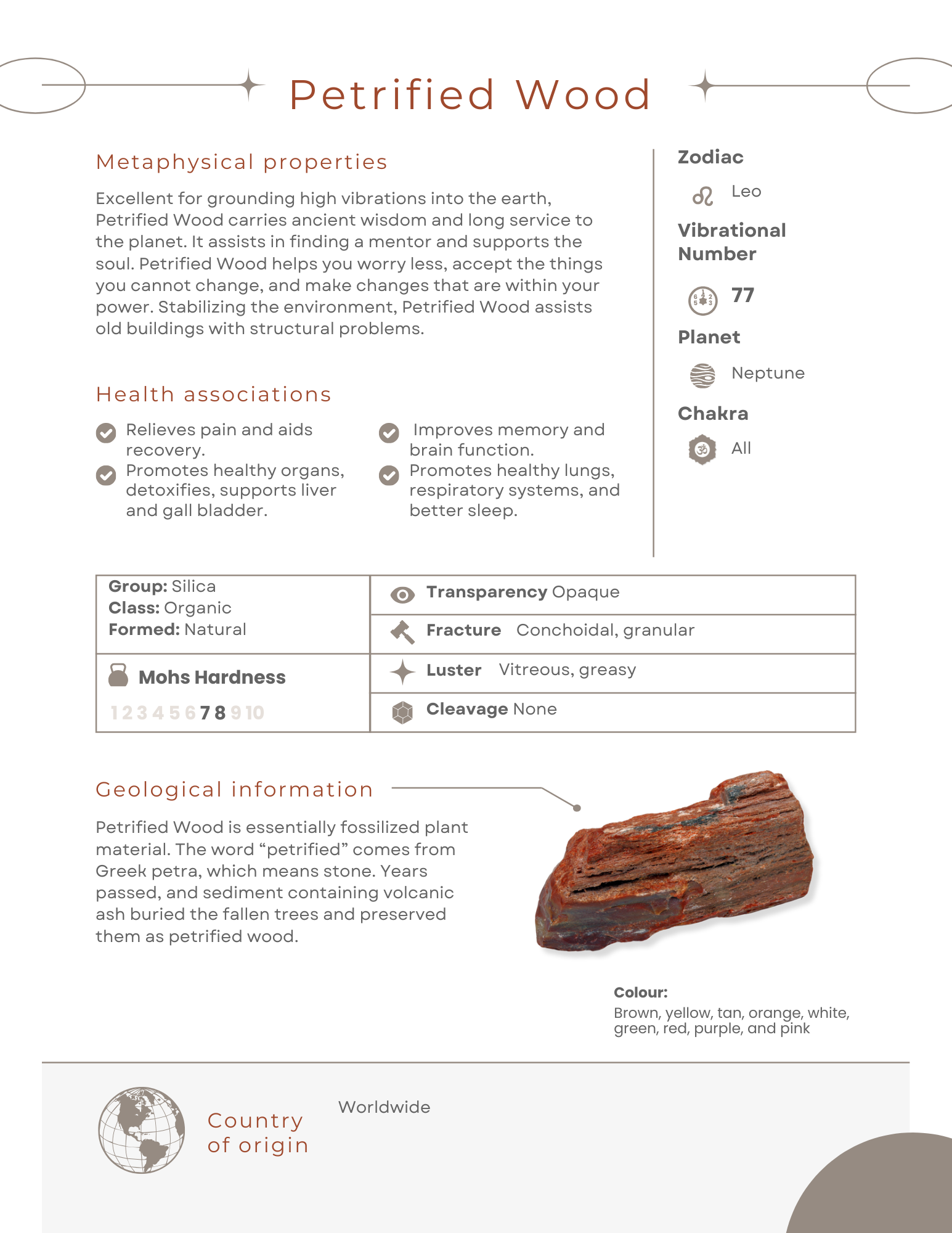 Petrified Wood Information Sheet