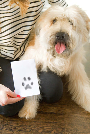 Pet Pawprint Clean-Touch Ink Pad, Black - Koda & Company