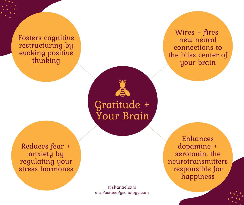 Gratitude and the brain