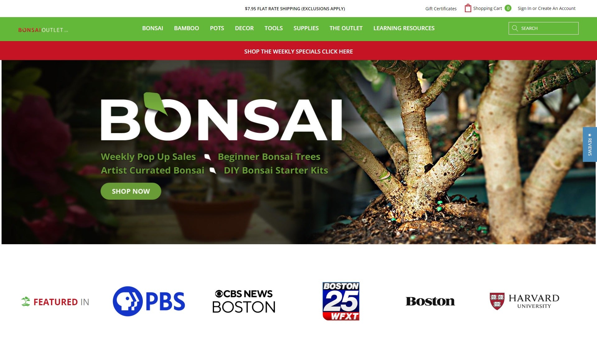 bonsaioutlet - Bonsai Tree | Bamboo Plants | Indoor, Outdoor | Pots and Tools