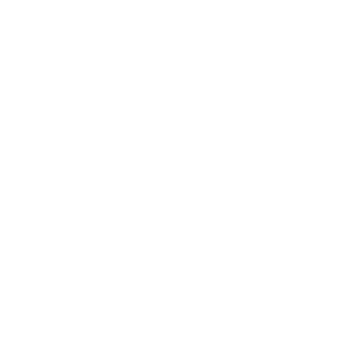 Cardmarket Shop NH Toys