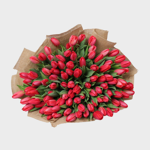 120 Red Tulip Bouquet