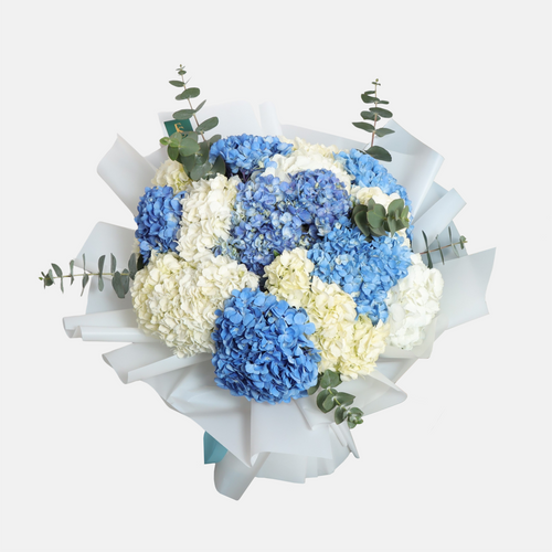 Hydrangea Bouquet