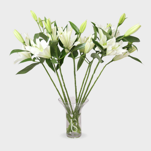 12 White Lilies in a Vase