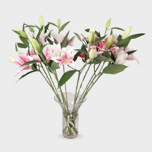 12 Pink Lilies in a Vase