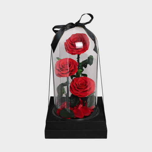 3 Forever Roses Red 🌹 | Luxury Forever Rose Delivered Dubai 🇦🇪 | Official Forever Rose