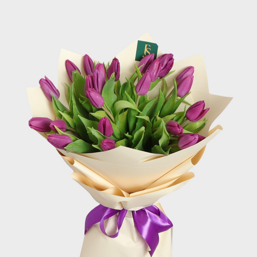 Classy Purple Tulip