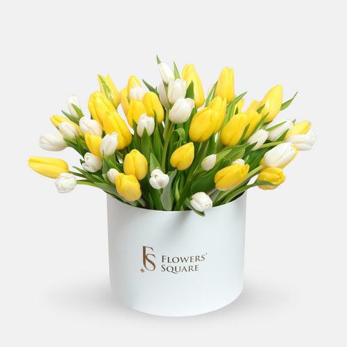 50 Sunshine Tulips