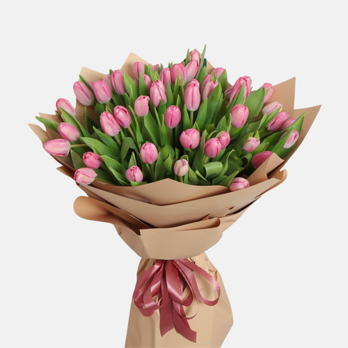 60 Pink Tulip Stuart