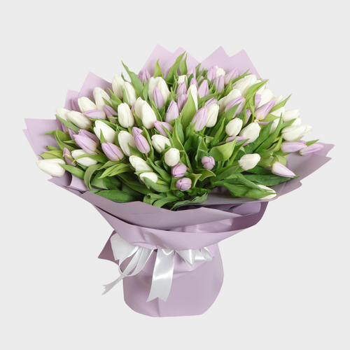 70 White and Purple Tulips