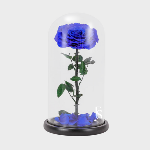 1 Forever Rose Blue | Forever Rose Delivered Dubai | Official Forever Rose