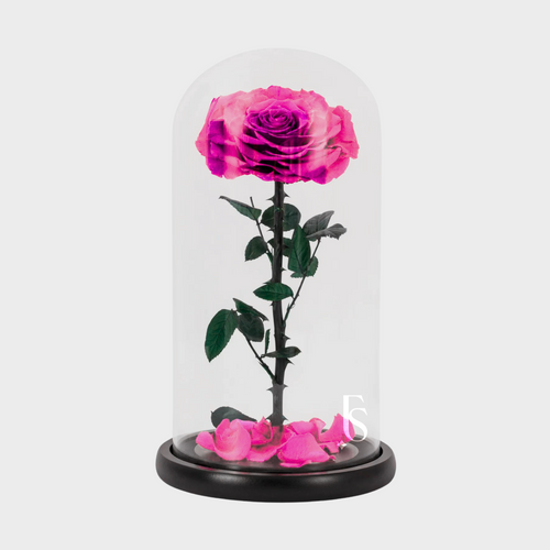 1 Forever Rose Pink | Forever Rose Delivered Dubai | Official Forever Rose