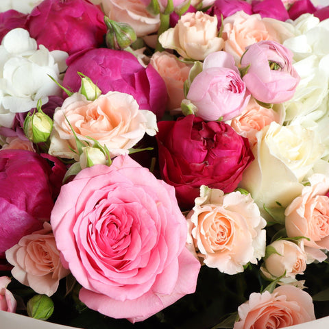 Peonies Flowers Online Dubai