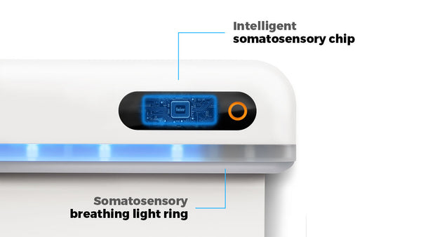 Somatosensory Chip and Breathing Light Ring