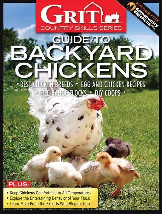 How Hot Is Too Hot for Chickens? – Mother Earth News