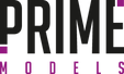 Prime_Logo_01-300x180.png__PID:0bf43026-fcb6-4ad8-a774-b4bb6e7472ff