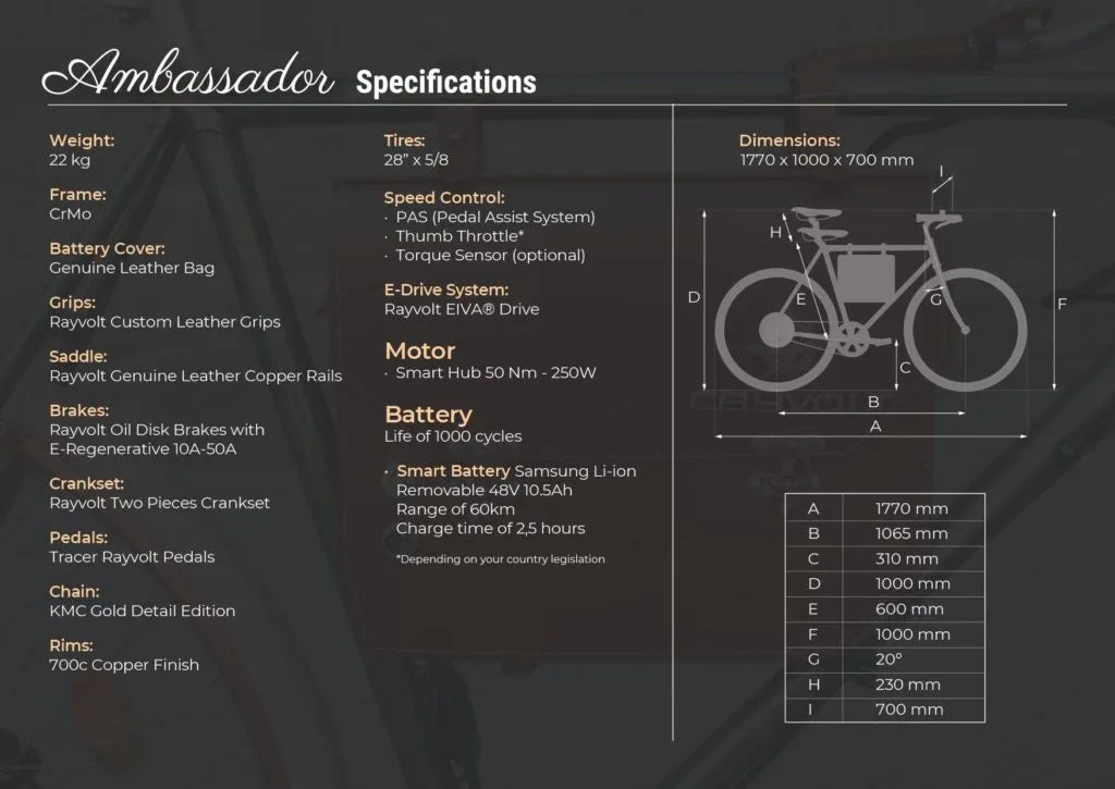 Rayvolt Ambassador Spec Sheet