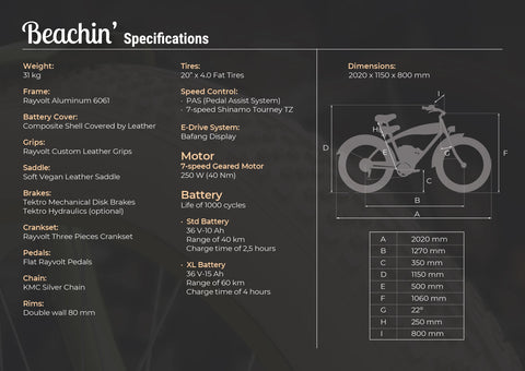 Rayvolt Beachin' spec sheet