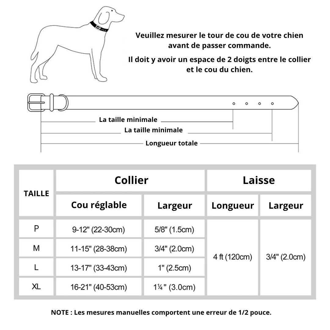 collier-en-cuir-pour-chien-coldog-chien