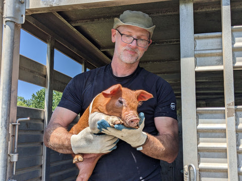 farmer Stephen standing in a trailer and holding a mostly red pig