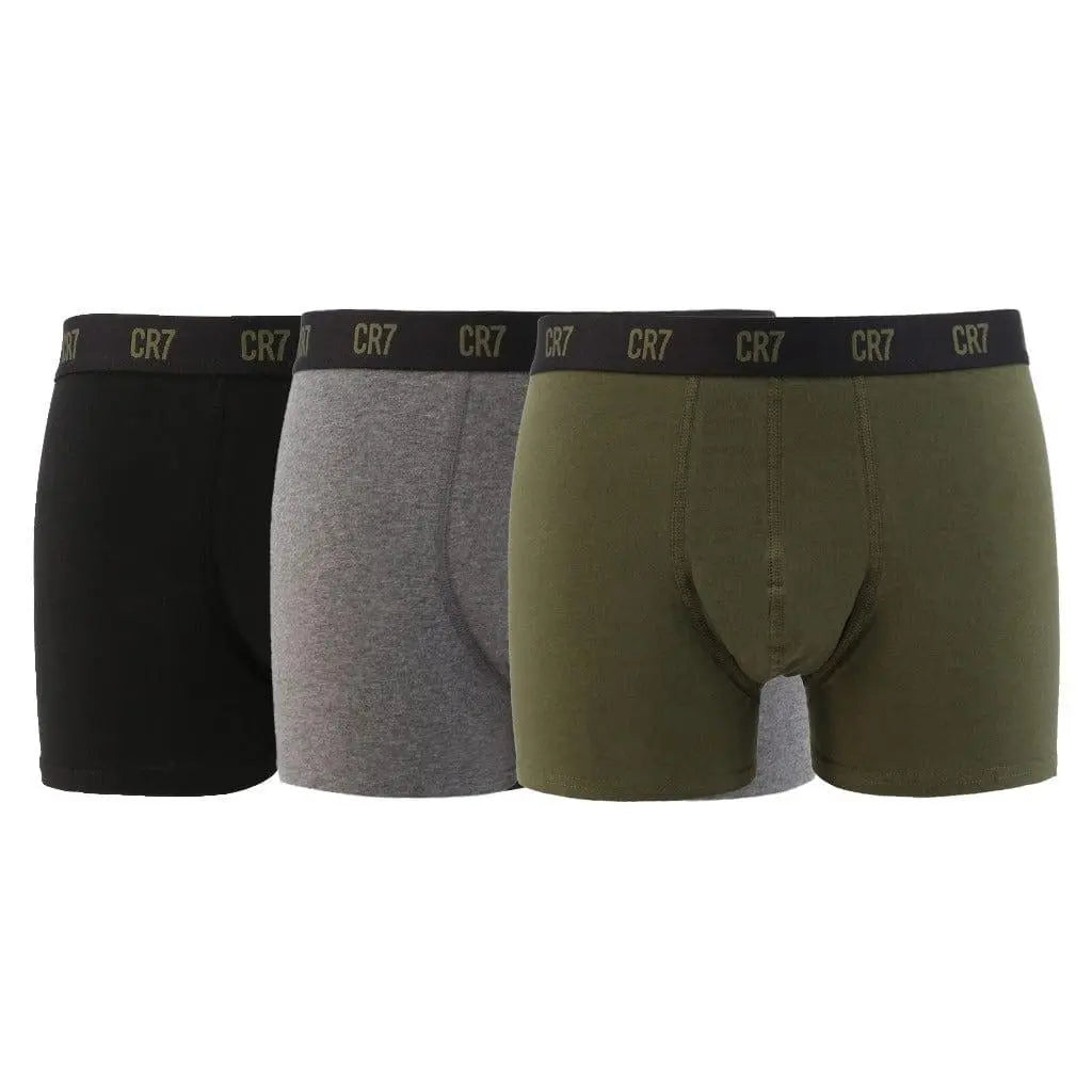 cr7 mens briefs