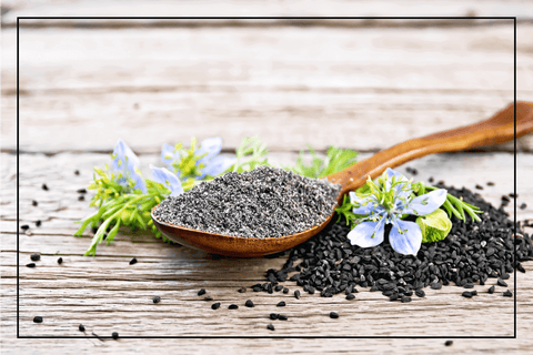 black seed powder in pakistan