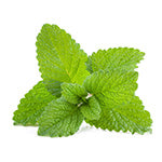 LEMON BALM